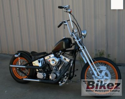 2009 Flyrite Choppers Bobber photo